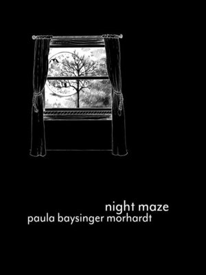 cover image of Night Maze